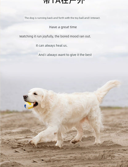 Pet Self-Hi Relieving Stuffy Handy Gadget Bite-Resistant Small Size Dogs Dog