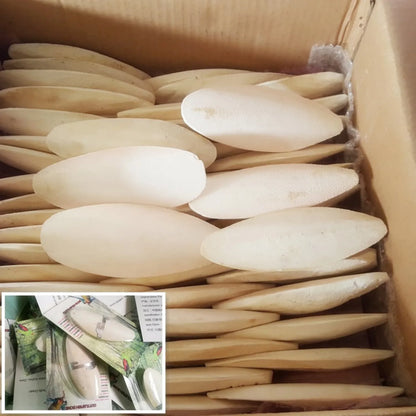 10pcs Cuttlebone For Parakeet Parrot Chewing Cuttle Bone For Sharp Beaks Cuttlefish Bone With Holder For Budgies Cockatiels