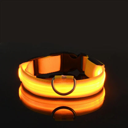 LED Nylon Collar