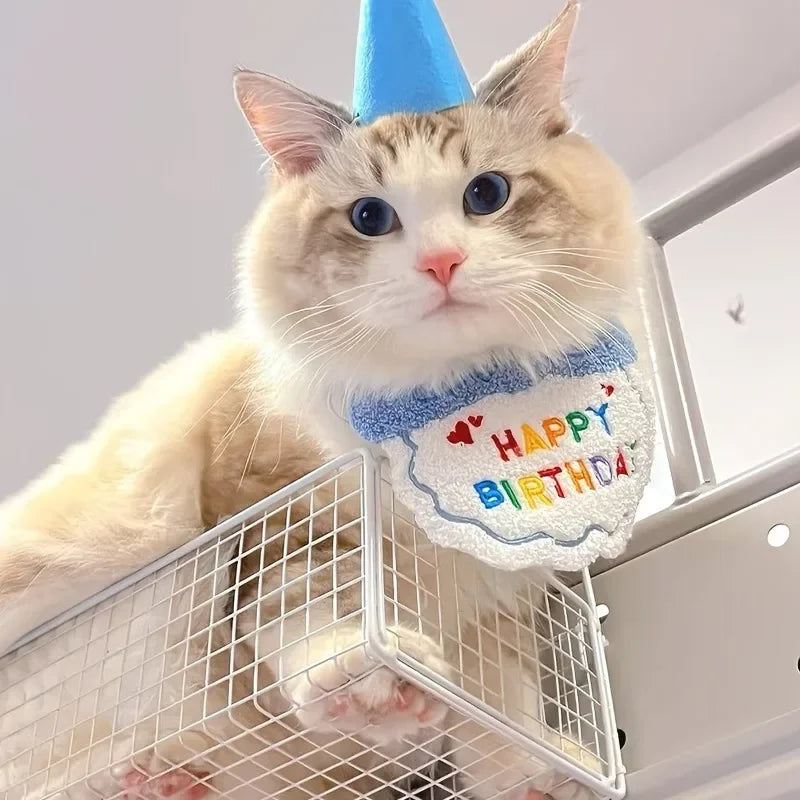 Birthday Hat & Bandana Set