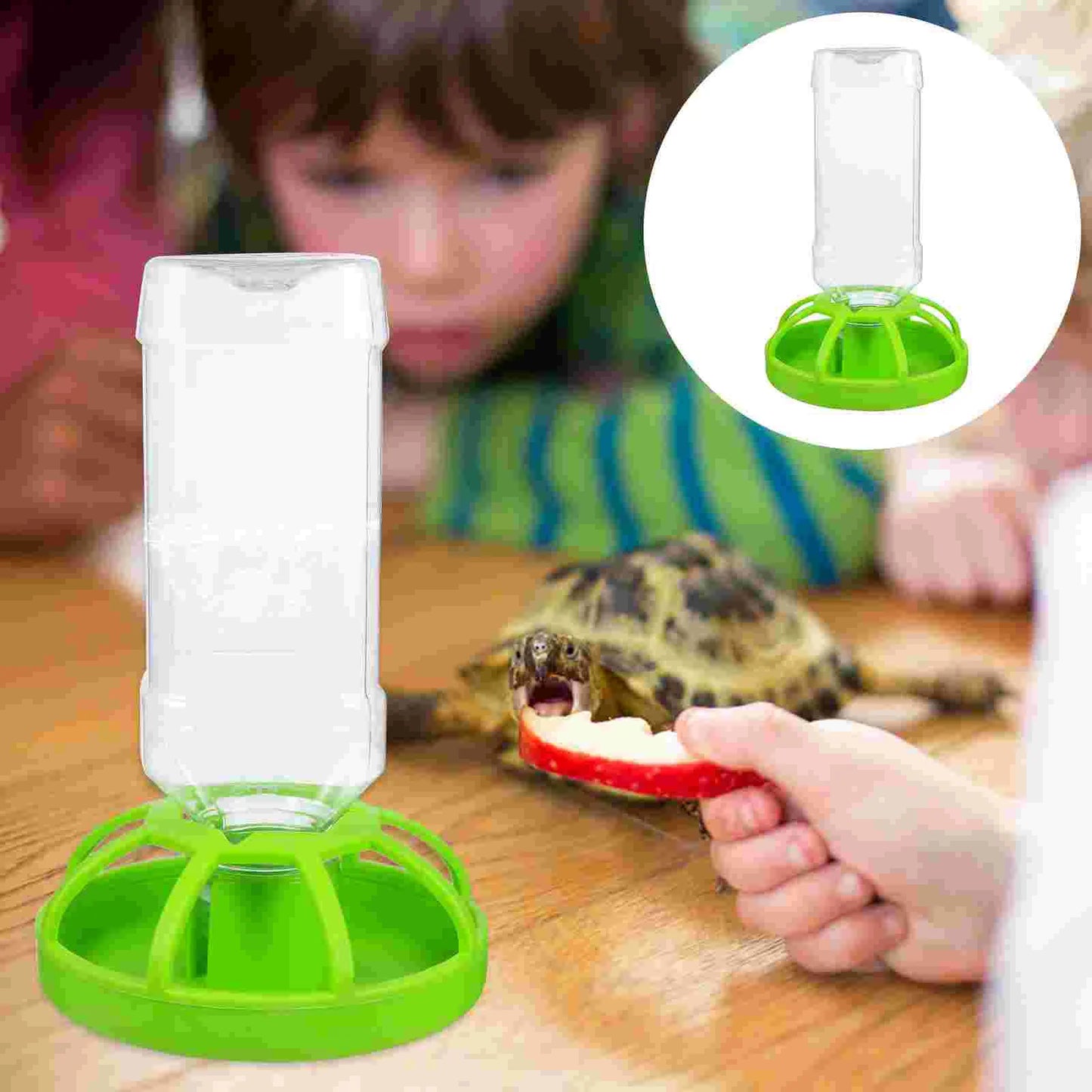 Pets Feeding Plate Reptile Bowl Turtle Gecko Snake Breeding Tray Resin Vivarium Food Water Dish Fogger