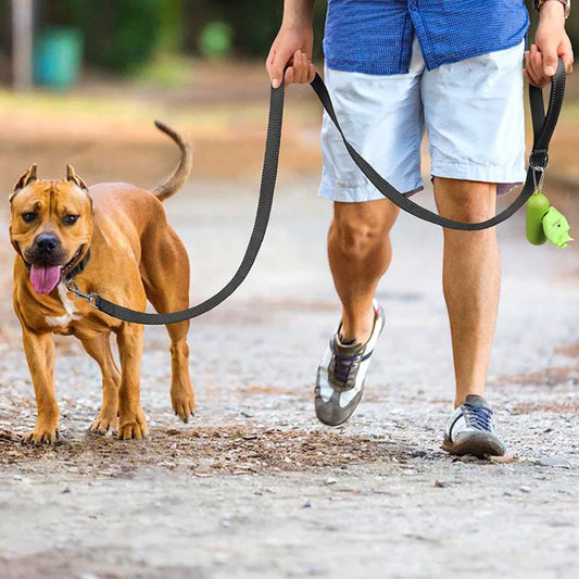 Reflective Pet Harness Leash